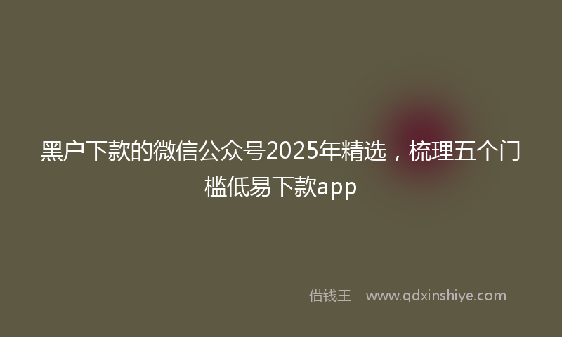 黑户下款的微信公众号2025年精选，梳理五个门槛低易下款app