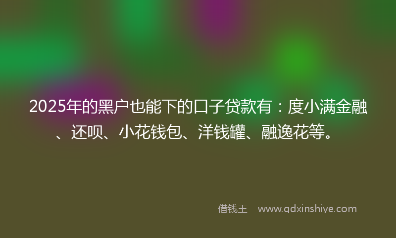2025年的黑户也能下的口子贷款有：度小满金融、还呗、小花钱包、洋钱罐、融逸花等。