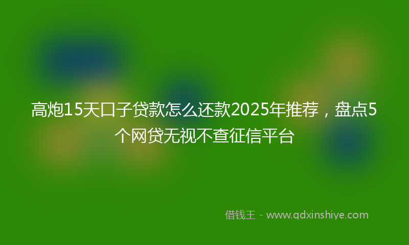 高炮15天口子贷款怎么还款2025年推荐，盘点5个网贷无视不查征信平台