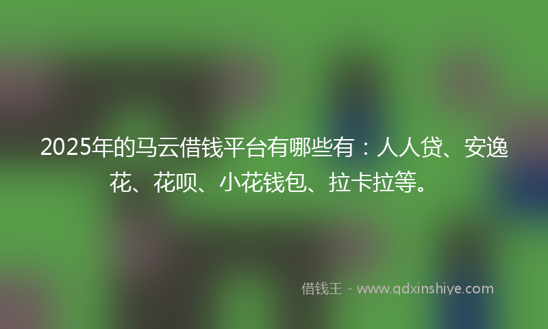 2025年的马云借钱平台有哪些有：人人贷、安逸花、花呗、小花钱包、拉卡拉等。