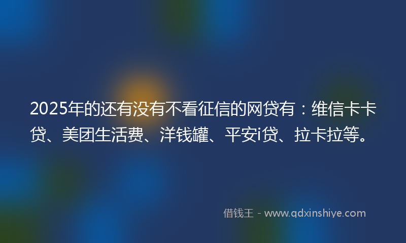 2025年的还有没有不看征信的网贷有：维信卡卡贷、美团生活费、洋钱罐、平安i贷、拉卡拉等。