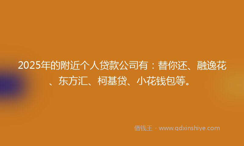 2025年的附近个人贷款公司有：替你还、融逸花、东方汇、柯基贷、小花钱包等。
