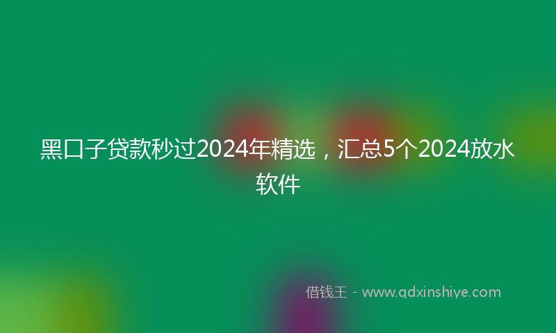 黑口子贷款秒过2024年精选，汇总5个2024放水软件
