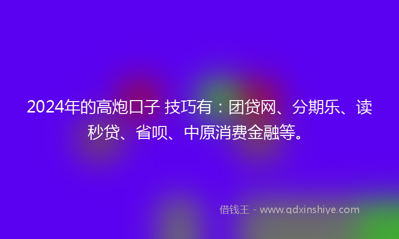 2024年的高炮口子 技巧有：团贷网、分期乐、读秒贷、省呗、中原消费金融等。