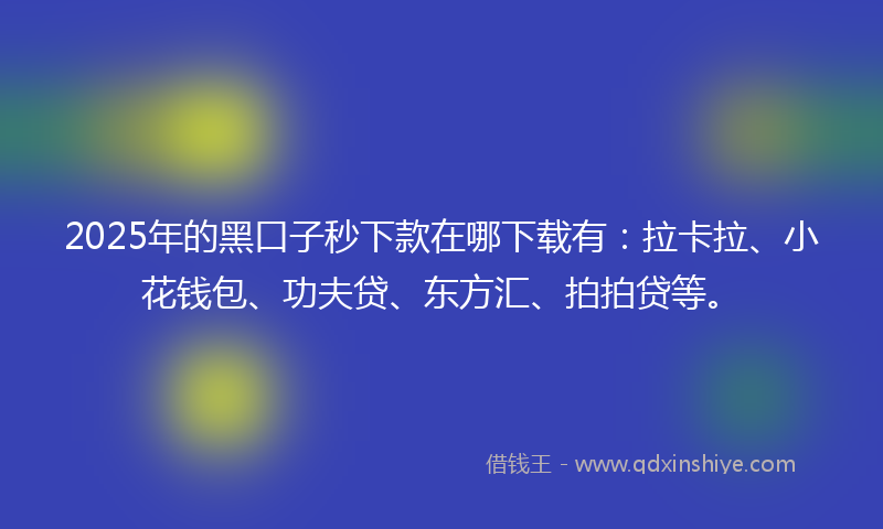 2025年的黑口子秒下款在哪下载有：拉卡拉、小花钱包、功夫贷、东方汇、拍拍贷等。