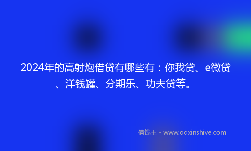 2024年的高射炮借贷有哪些有：你我贷、e微贷、洋钱罐、分期乐、功夫贷等。
