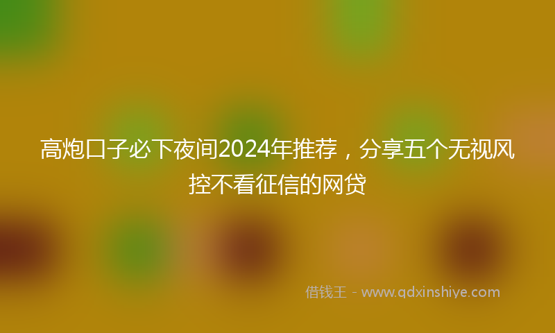 高炮口子必下夜间2024年推荐，分享五个无视风控不看征信的网贷