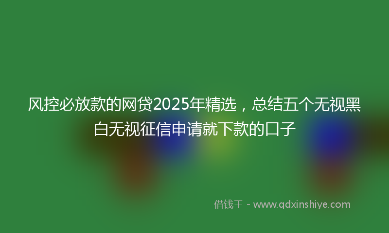 风控必放款的网贷2025年精选，总结五个无视黑白无视征信申请就下款的口子