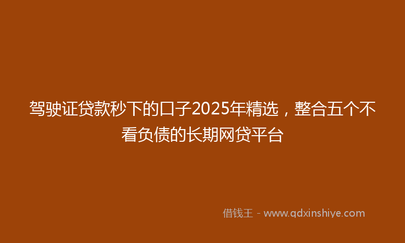 驾驶证贷款秒下的口子2025年精选，整合五个不看负债的长期网贷平台