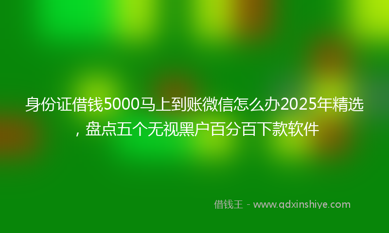 身份证借钱5000马上到账微信怎么办2025年精选，盘点五个无视黑户百分百下款软件