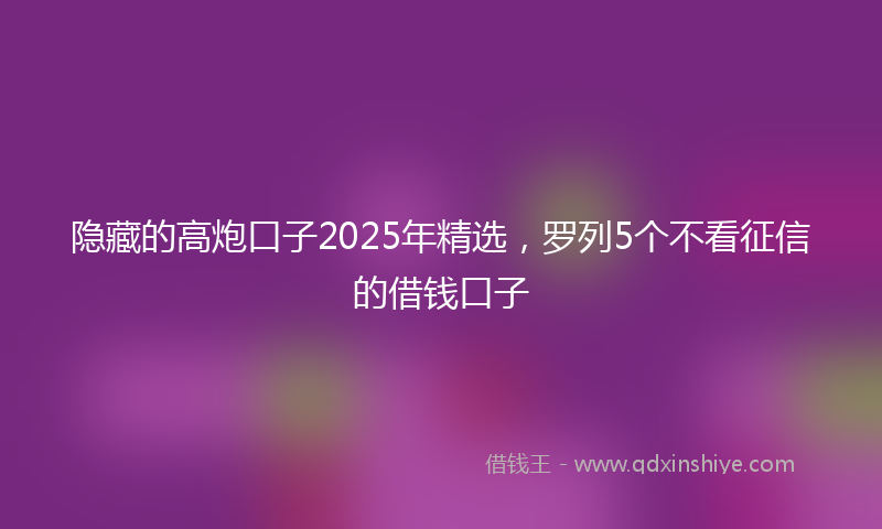 隐藏的高炮口子2025年精选，罗列5个不看征信的借钱口子