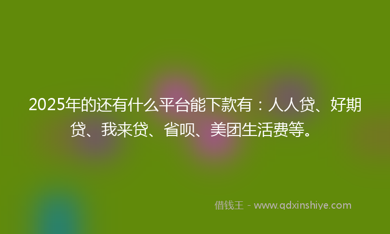 2025年的还有什么平台能下款有：人人贷、好期贷、我来贷、省呗、美团生活费等。