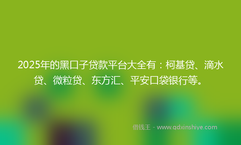 2025年的黑口子贷款平台大全有：柯基贷、滴水贷、微粒贷、东方汇、平安口袋银行等。