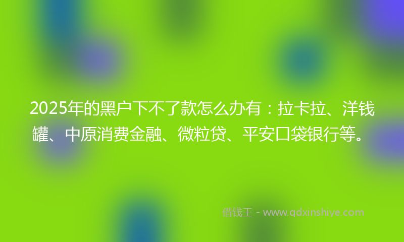 2025年的黑户下不了款怎么办有：拉卡拉、洋钱罐、中原消费金融、微粒贷、平安口袋银行等。