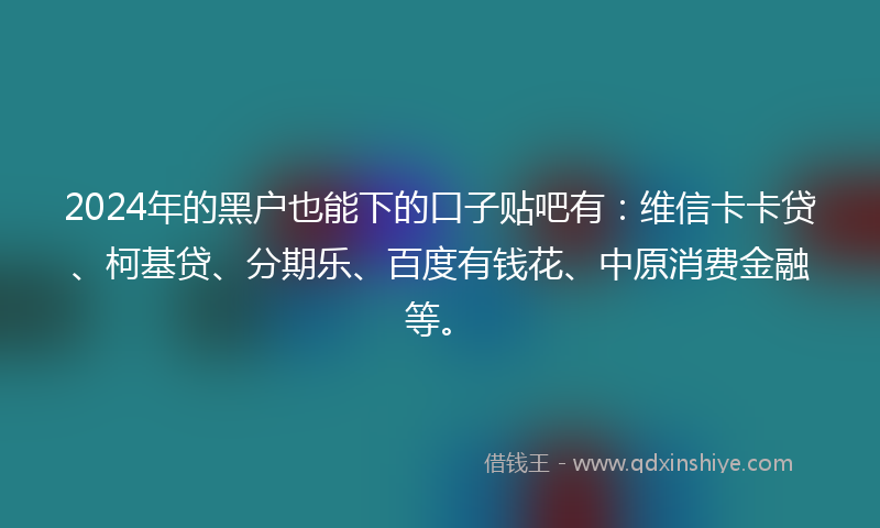 2024年的黑户也能下的口子贴吧有：维信卡卡贷、柯基贷、分期乐、百度有钱花、中原消费金融等。