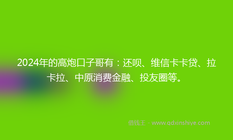 2024年的高炮口子哥有：还呗、维信卡卡贷、拉卡拉、中原消费金融、投友圈等。