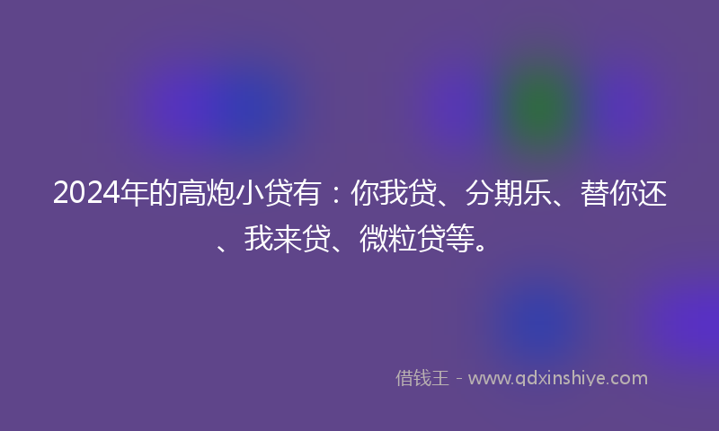 2024年的高炮小贷有：你我贷、分期乐、替你还、我来贷、微粒贷等。