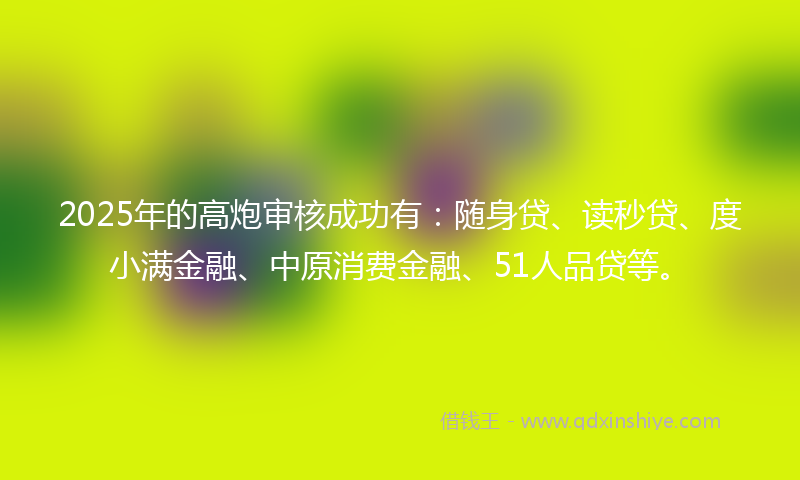 2025年的高炮审核成功有：随身贷、读秒贷、度小满金融、中原消费金融、51人品贷等。