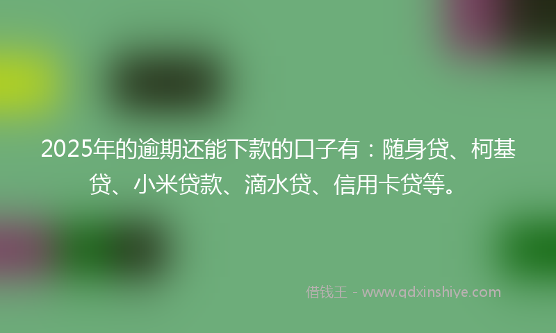 2025年的逾期还能下款的口子有：随身贷、柯基贷、小米贷款、滴水贷、信用卡贷等。