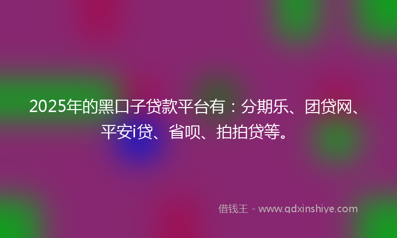 2025年的黑口子贷款平台有：分期乐、团贷网、平安i贷、省呗、拍拍贷等。