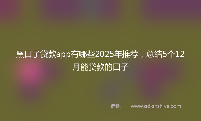 黑口子贷款app有哪些2025年推荐，总结5个12月能贷款的口子