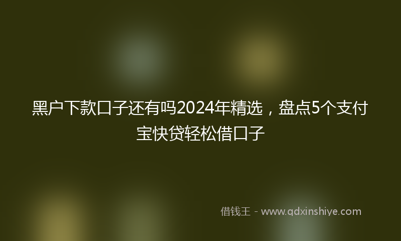 黑户下款口子还有吗2024年精选，盘点5个支付宝快贷轻松借口子