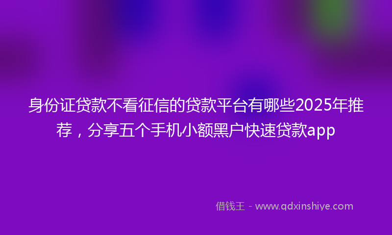 身份证贷款不看征信的贷款平台有哪些2025年推荐，分享五个手机小额黑户快速贷款app