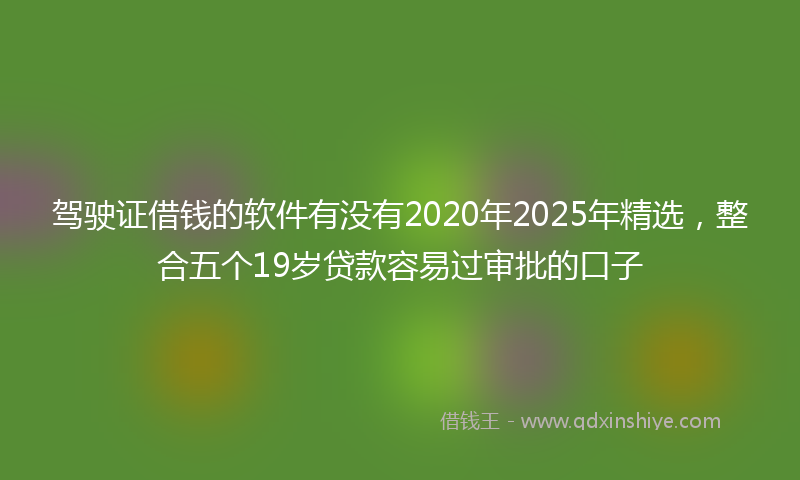 驾驶证借钱的软件有没有2020年2025年精选，整合五个19岁贷款容易过审批的口子