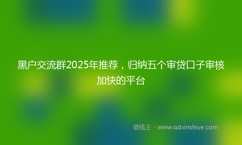 黑户交流群2025年推荐，归纳五个审贷口子审核加快的平台