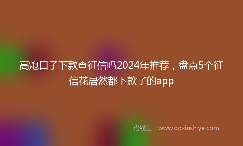 高炮口子下款查征信吗2024年推荐，盘点5个征信花居然都下款了的app