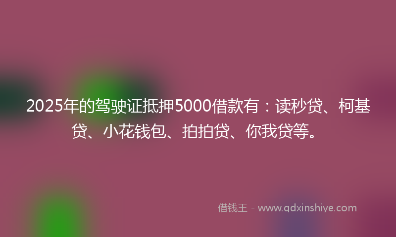 2025年的驾驶证抵押5000借款有：读秒贷、柯基贷、小花钱包、拍拍贷、你我贷等。