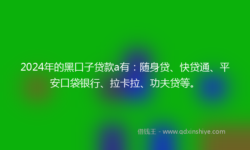 2024年的黑口子贷款a有：随身贷、快贷通、平安口袋银行、拉卡拉、功夫贷等。