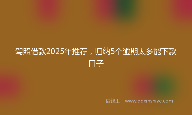 驾照借款2025年推荐，归纳5个逾期太多能下款口子