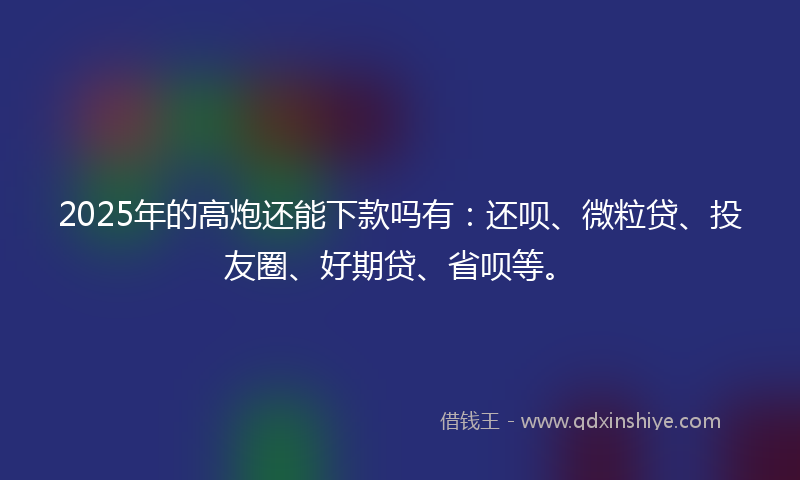 2025年的高炮还能下款吗有：还呗、微粒贷、投友圈、好期贷、省呗等。