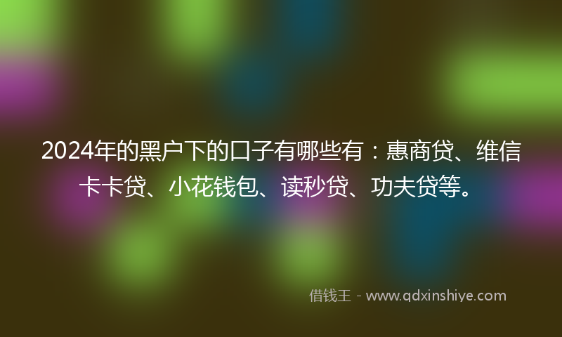 2024年的黑户下的口子有哪些有：惠商贷、维信卡卡贷、小花钱包、读秒贷、功夫贷等。