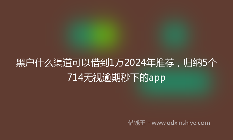 黑户什么渠道可以借到1万2024年推荐，归纳5个714无视逾期秒下的app