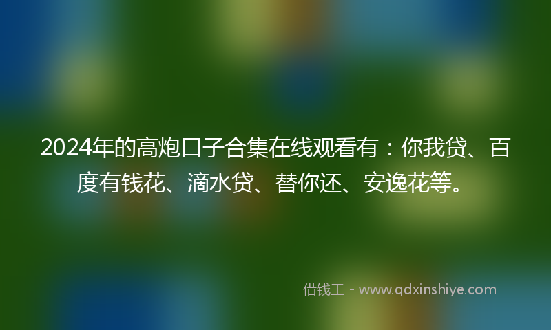 2024年的高炮口子合集在线观看有：你我贷、百度有钱花、滴水贷、替你还、安逸花等。