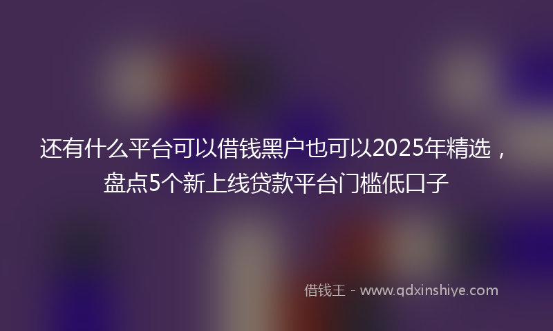 还有什么平台可以借钱黑户也可以2025年精选，盘点5个新上线贷款平台门槛低口子