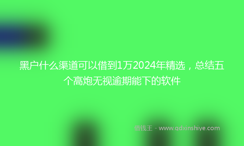 黑户什么渠道可以借到1万2024年精选，总结五个高炮无视逾期能下的软件