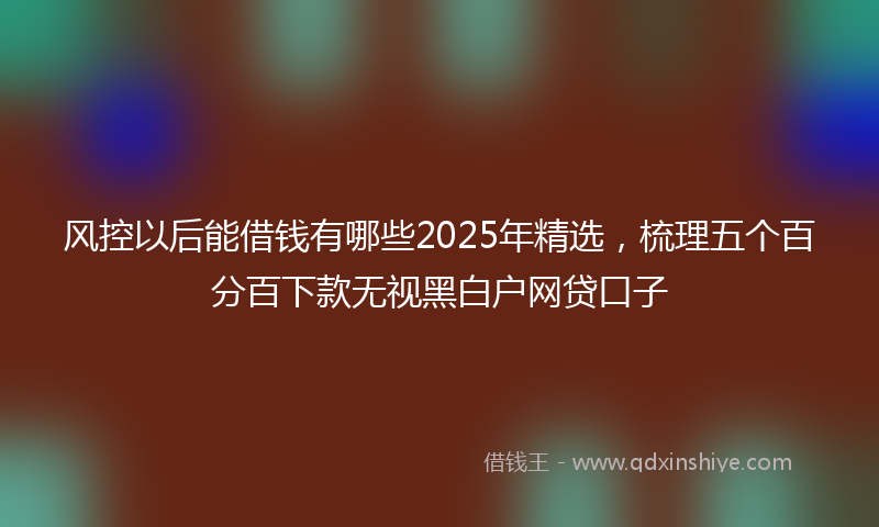 风控以后能借钱有哪些2025年精选，梳理五个百分百下款无视黑白户网贷口子