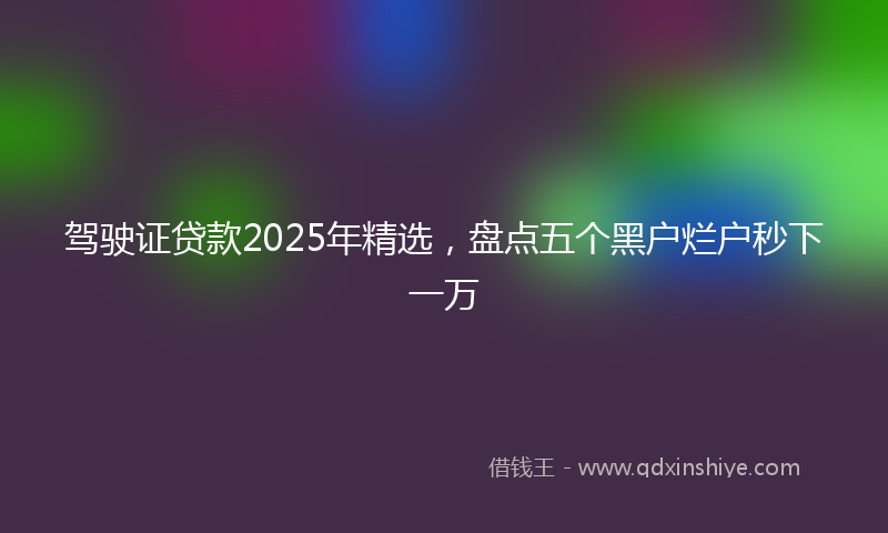 驾驶证贷款2025年精选，盘点五个黑户烂户秒下一万