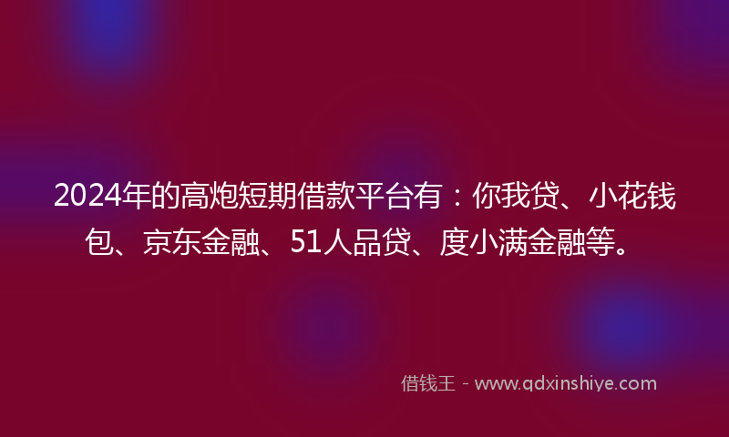 2024年的高炮短期借款平台有：你我贷、小花钱包、京东金融、51人品贷、度小满金融等。
