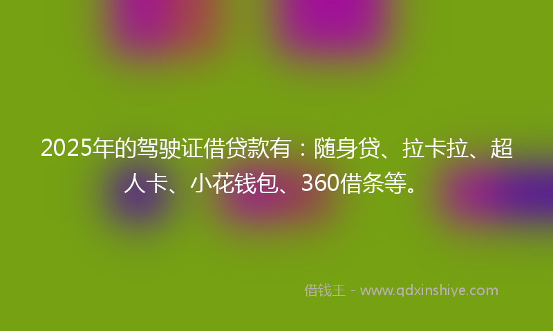 2025年的驾驶证借贷款有：随身贷、拉卡拉、超人卡、小花钱包、360借条等。
