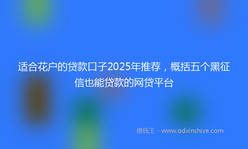 适合花户的贷款口子2025年推荐，概括五个黑征信也能贷款的网贷平台