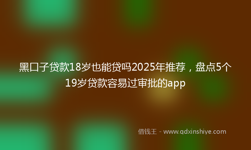 黑口子贷款18岁也能贷吗2025年推荐，盘点5个19岁贷款容易过审批的app