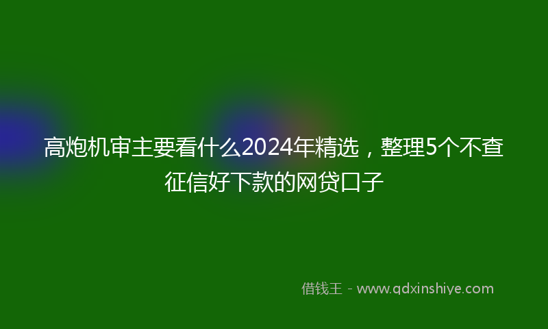 高炮机审主要看什么2024年精选，整理5个不查征信好下款的网贷口子