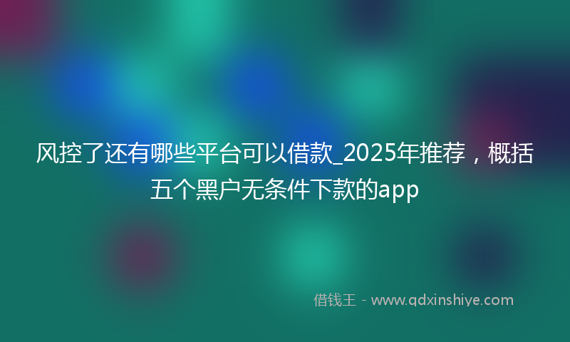 风控了还有哪些平台可以借款_2025年推荐，概括五个黑户无条件下款的app