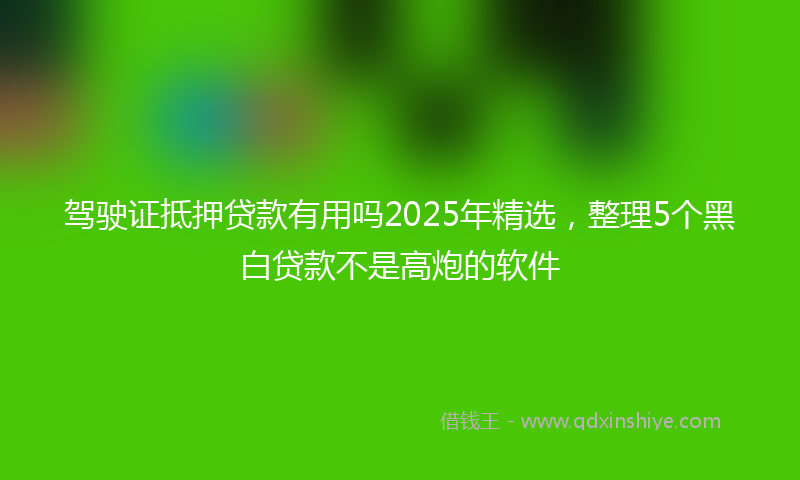 驾驶证抵押贷款有用吗2025年精选，整理5个黑白贷款不是高炮的软件