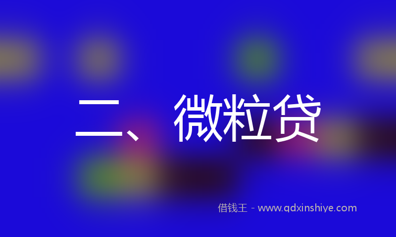二、微粒贷