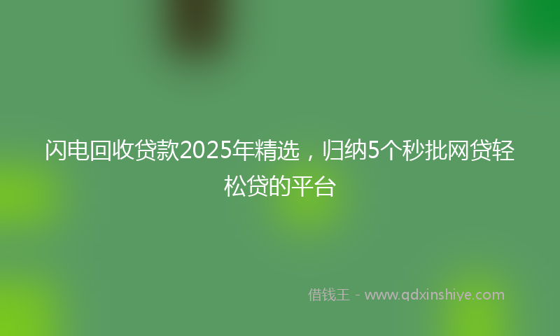 闪电回收贷款2025年精选，归纳5个秒批网贷轻松贷的平台